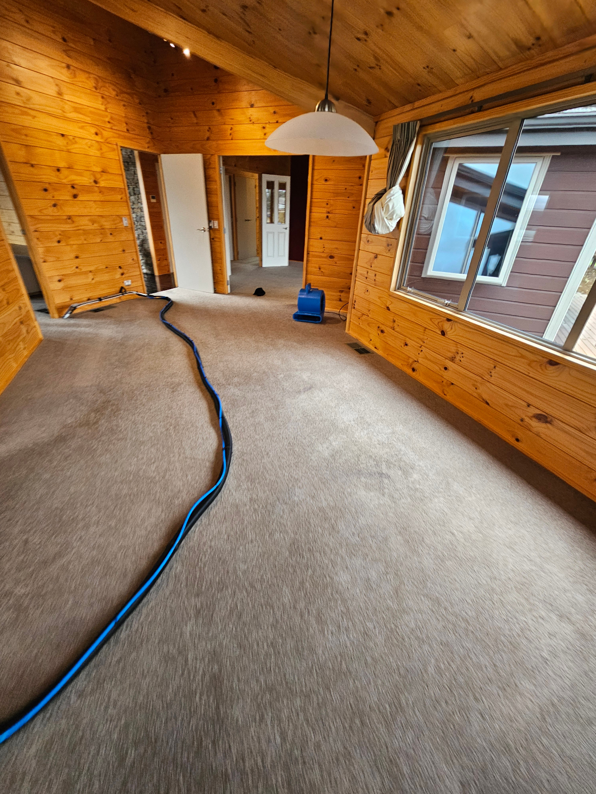Carpet cleaning in progress – wooden cabin room with cleaning hose and blower fan